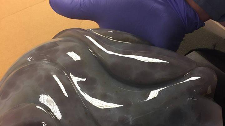 Tucson police find stolen art pieces from 2013 gem show